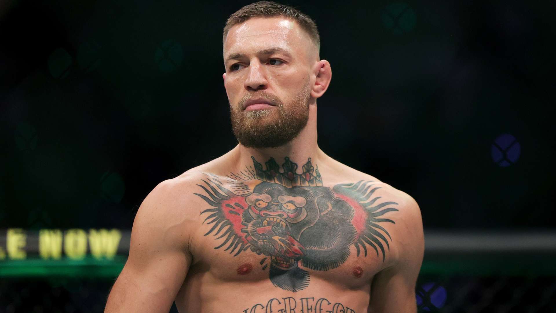 时尚影响以 时尚影响以