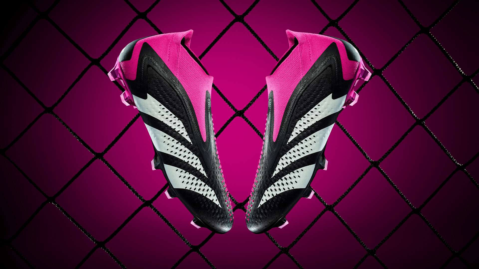 也是对广大 也是对广大